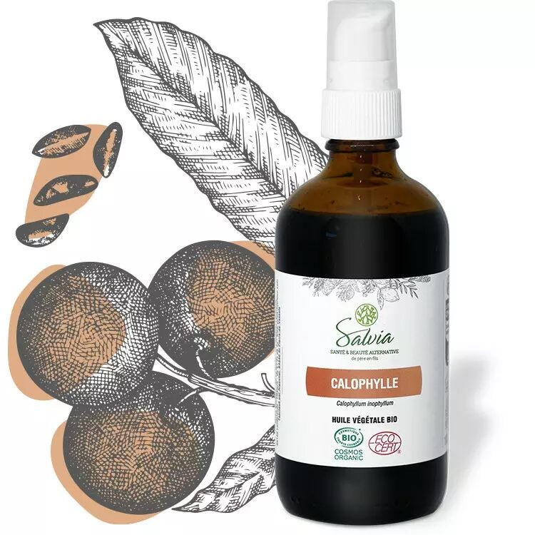 Calophylle - Huile végétale bio - 100 ml