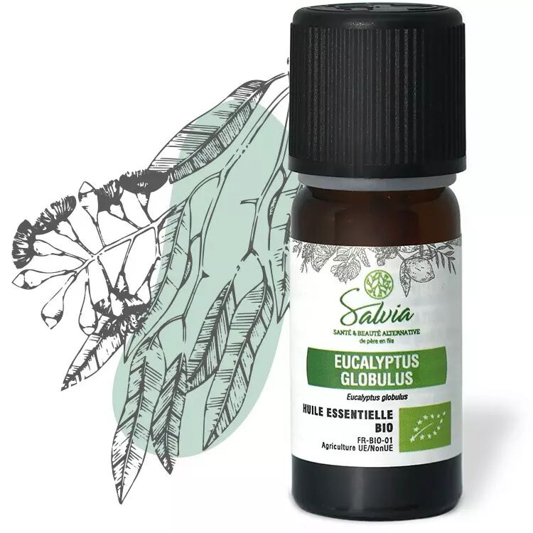 Eucalyptus globulus - Huile essentielle bio - 10 ml