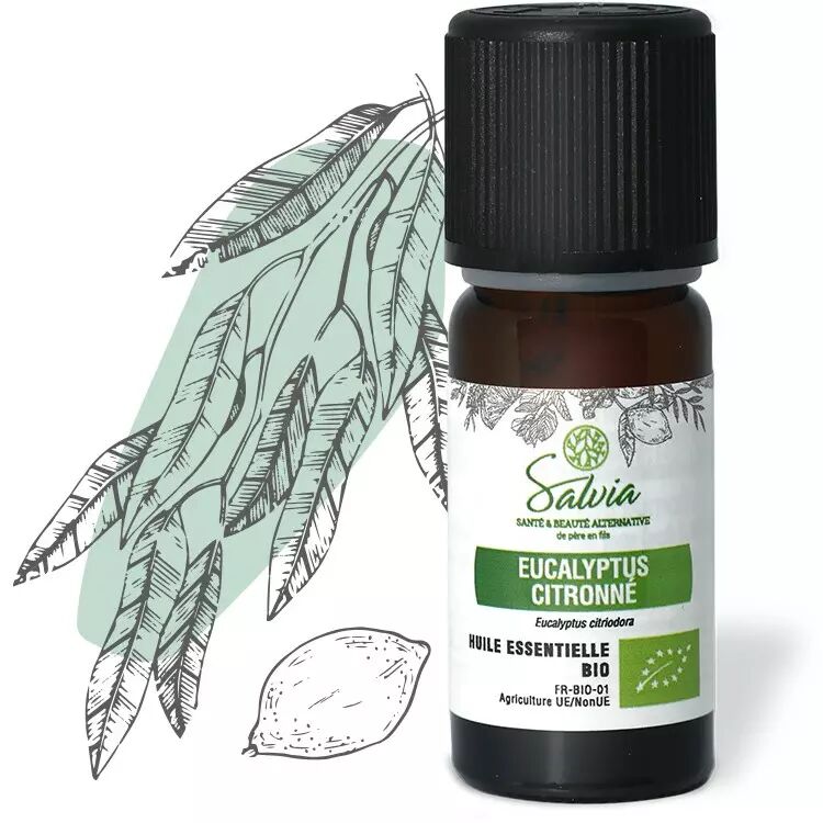 Eucalyptus citronné - Huile essentielle bio - 10 ml