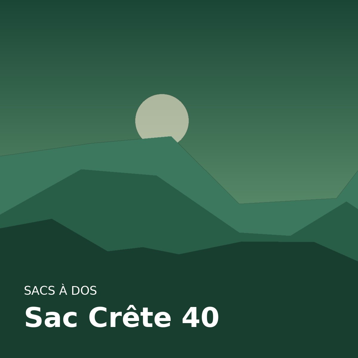 Sac Crête 40