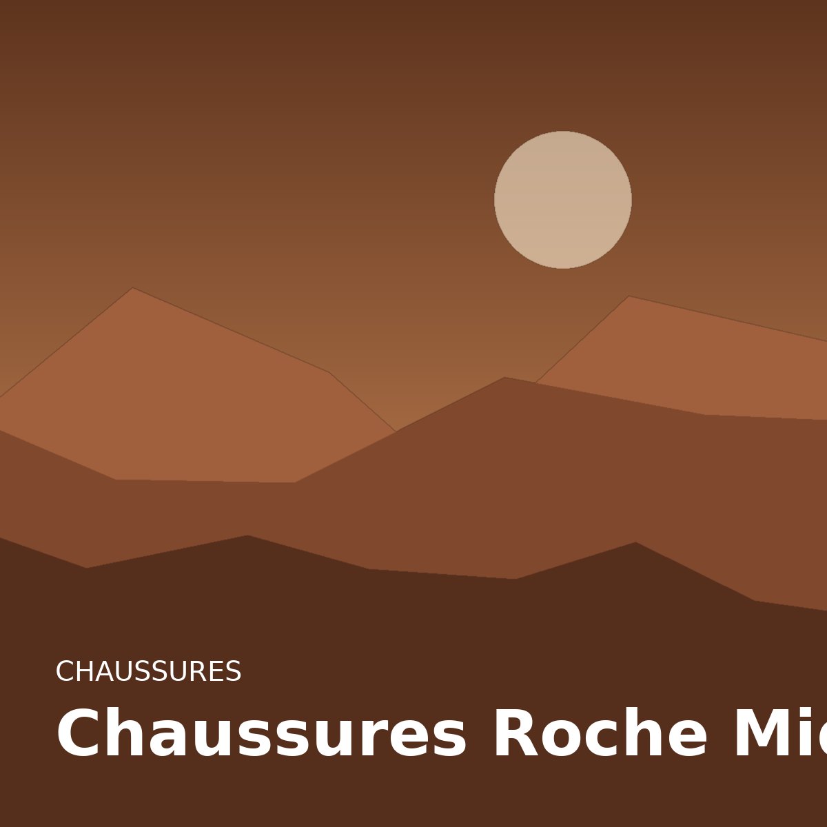 Chaussures Roche Mid