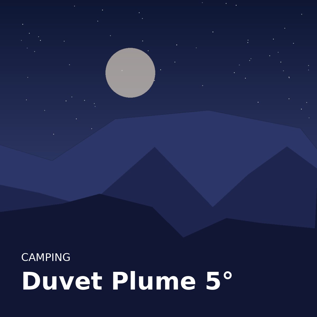 Duvet Plume 5°
