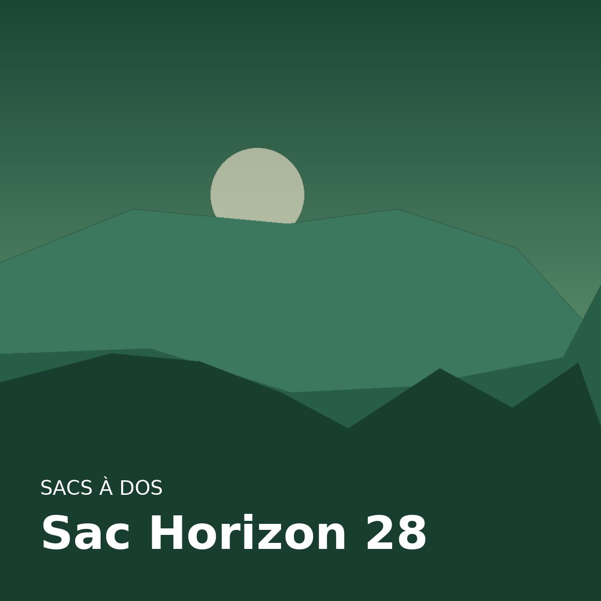 Sac Horizon 28